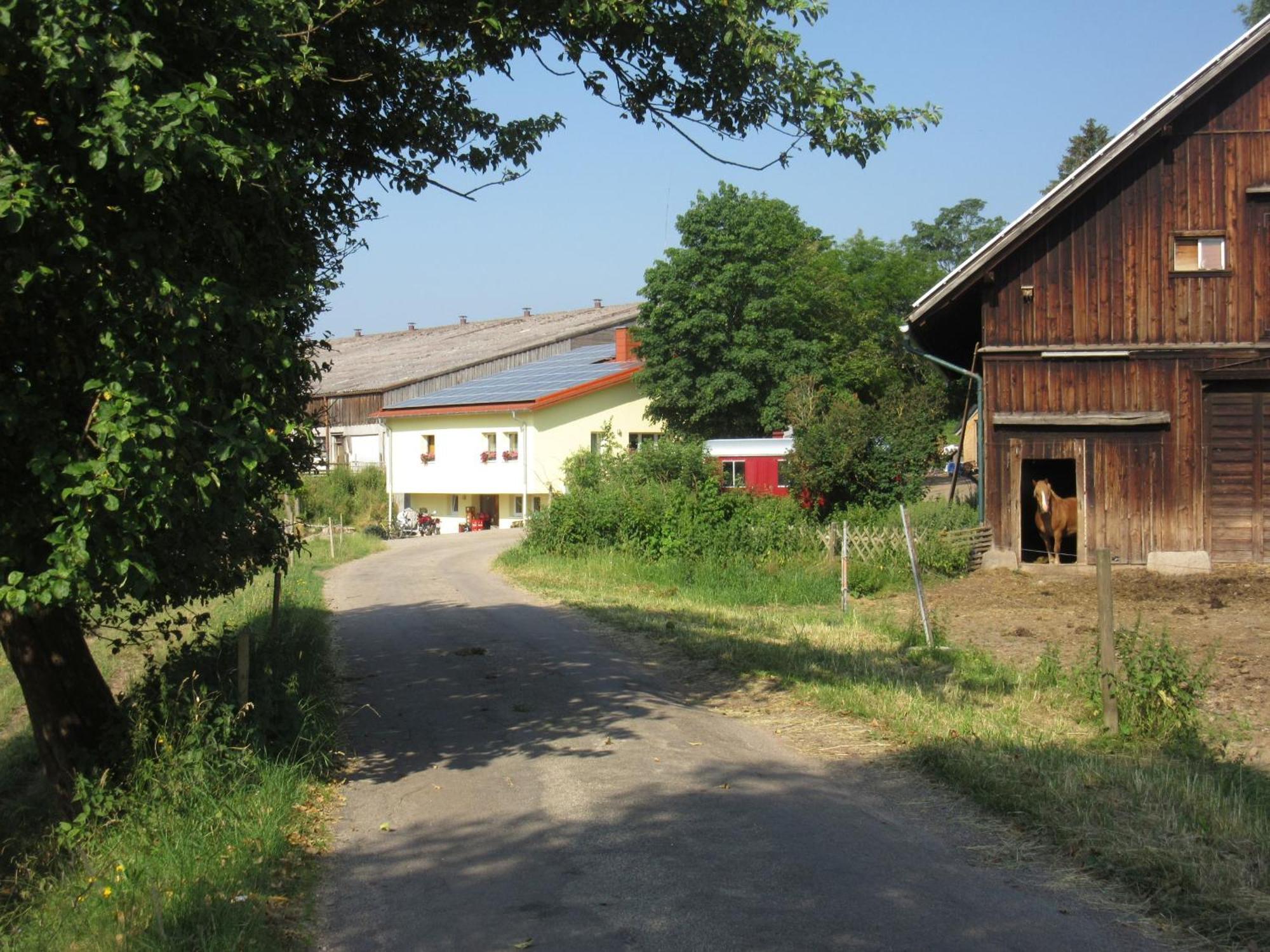 Hofgut Duerrenbuehl Grafenhausen Exterior foto